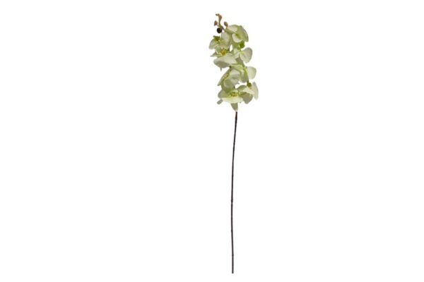 1 ágas selyemvirág orchidea padlóvázába - zöld