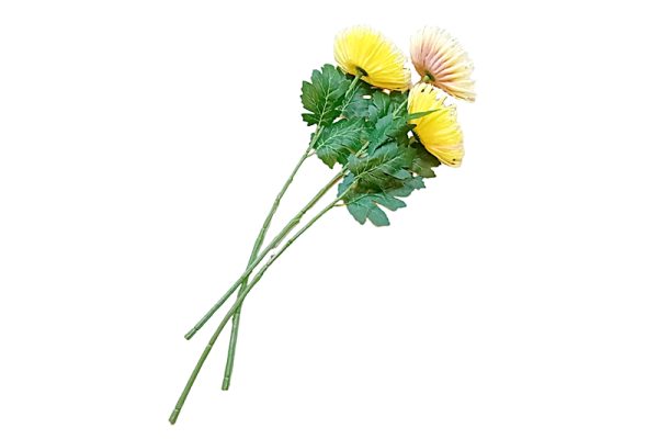 Hosszú szárú krizantém selyemvirág - 68 cm, 3 szál (sárga-krém)